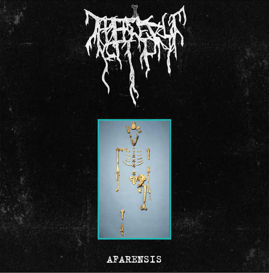 Bone Abduction - Afarensis Cassette Tape